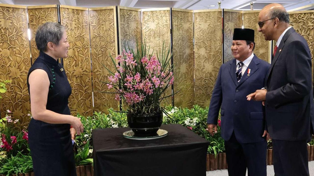 FOTO: Cantiknya Anggrek Bernama Ibu Prabowo di Singapura, Simbol Persahabatan RI dan Negeri Singa