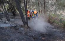 Karhutla Gunung Bromo Meluas Hingga 550 Hektare