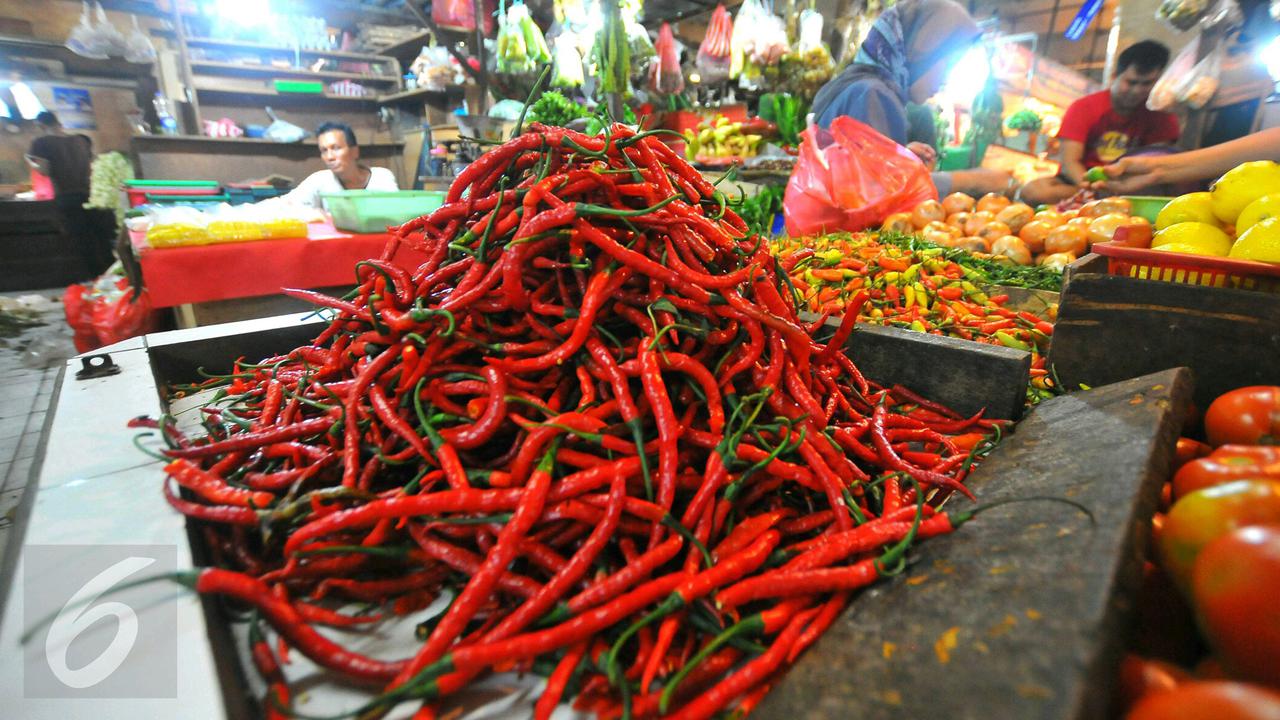 Harga cabai