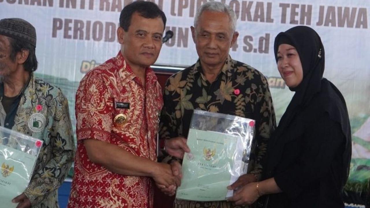 Fakta Unik Penyerahan 1.065 Sertifikat Tanah Petani Teh di Jawa Tengah: Dorong Kesejahteraan dan Produktivitas