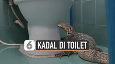 KADAL DI TOILET