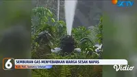 Kebocoran Gas dari sumur Pertamina di PALI-Prabumulih Sumsel (Dok. tangkapan layar SCTV / Nefri Inge)