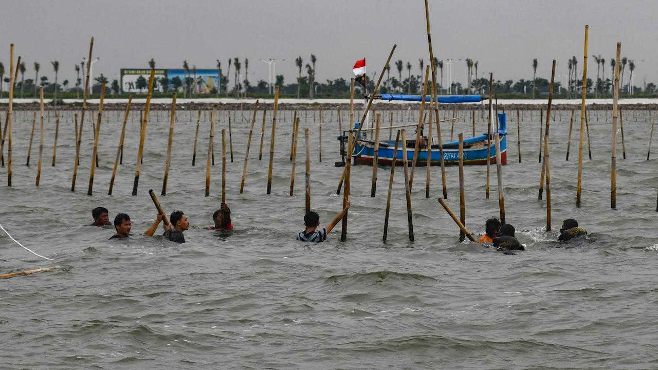 Aksi Ribuan Pasukan TNI AL dan Nelayan Bersatu Bongkar Pagar Laut Misterius di Tangerang