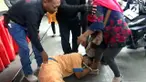 Seorang pelaku curanmor menangis dan meminta maaf. Tak hanya itu, ia juga mencium kaki korbannya.