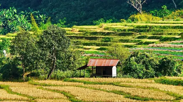 Suasana di Kaki Gunung Doi Inthanon di Chiang Mai Thailand