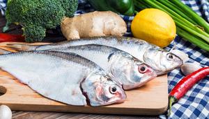 Ilustrasi ikan segar/source: freepik