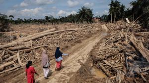 RI Nomor Tiga Paling Rawan Bencana, Indonesia Re Soroti Penguatan Proteksi Finansial