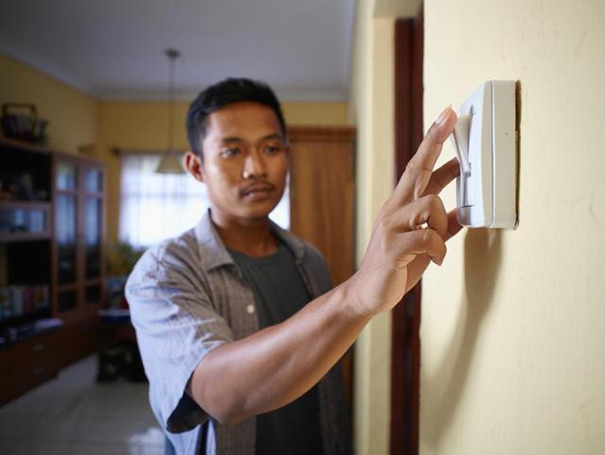 7 Cara Menghilangkan Semut di Saklar Lampu Rumah Tanpa Risiko Korsleting