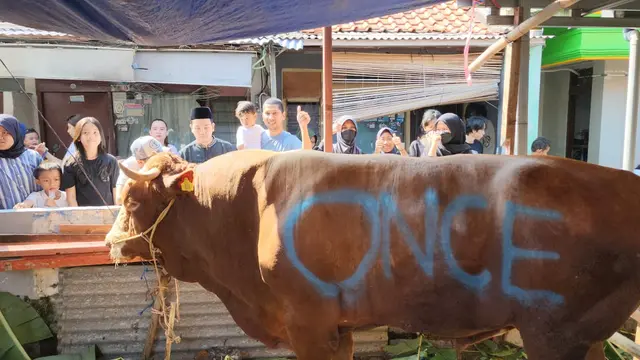Sapi kurban Once Mekel.