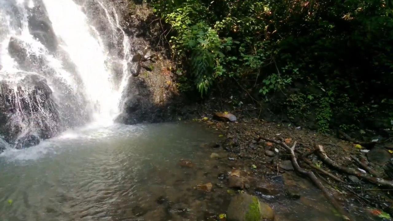 Jalur Treking yang Menantang