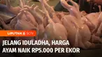 Menjelang lebaran Iduladha, harga ayam potong di sejumlah daerah naik. Selain ayam potong, harga bawang dan juga cabai juga ikut naik.