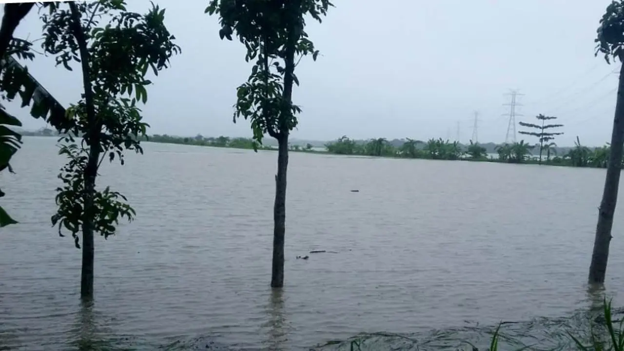 Sawah di Kebumen terendam banjir lebih dari sepekan. (Foto: Liputan6.com/Pusdalops PB Kebumen/Muhamad Ridlo)
