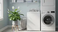 13 Tanaman Penyerap Bau untuk Area Laundry, Bikin Ruangan Lebih Segar dan Sehat
