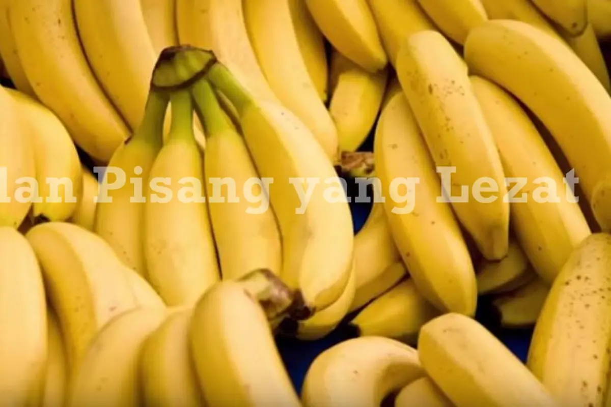 Resep: Bikin Camilan Pisang yang Lezat dan Gampang untuk Sarapan