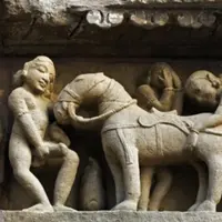 Manusia masih banyak, tapi orang-orang ini memilih 'menggagahi' hewan. Siapa saja mereka? 