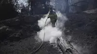 Kebakaran Hutan Israel Padam Setelah 30 Jam Status Darurat, Penyebab Masih Diselidiki