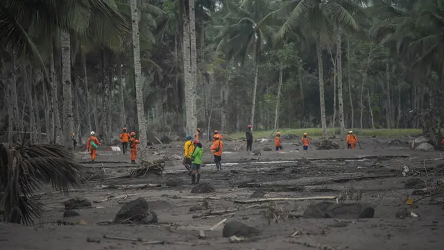 Pencarian dan Evakuasi Korban Erupsi Gunung Semeru