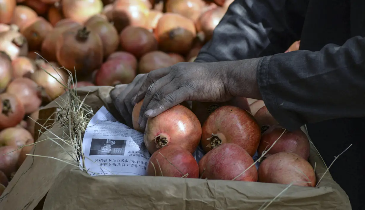 Seorang pekerja memilah buah delima yang dipanen di desa Mazara di distrik Arghandab, Kandahar (5/10/20210). Banyak warga Afghanistan yang membudidayakan buah ini sebagai mata pencarian utama. (AFP/ Javed Tanveer)