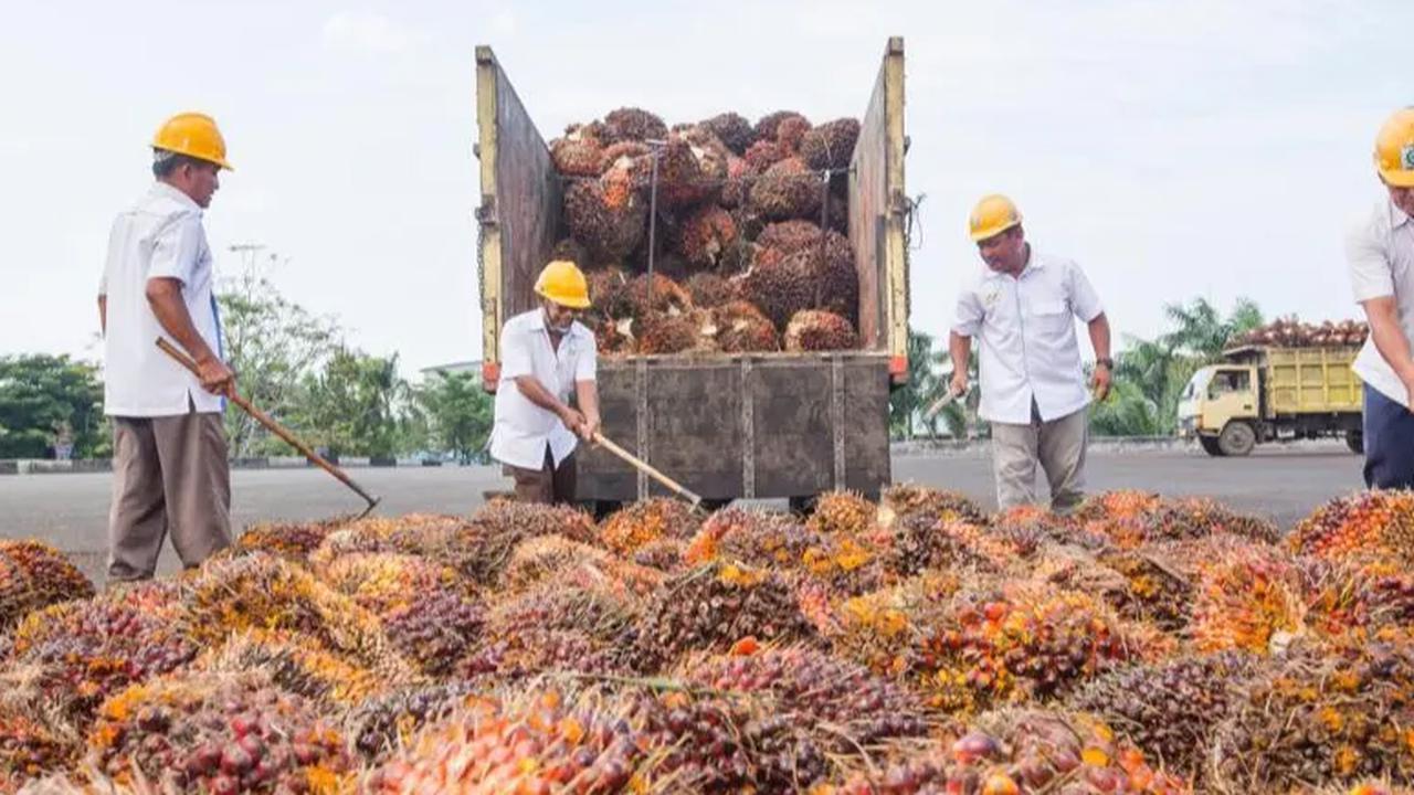 Sekretaris Utama Lemhannas RI, Komjen Pol. R. Z. Panca Putra Simanjuntak mengucapkan terima kasih atas bantuan yang diberikan.