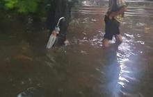 Banjir Melanda Depok, 200 Rumah di Pondok Tirta Mandala Terendam hingga Satu Meter