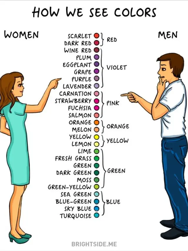 pria vs wanita