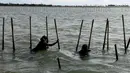 Proses pembongkaran membutuhkan waktu yang lama dikarenakan pagar laut dengan membentang di 16 kecamatan di Kabupaten Tangerang. (merdeka.com/Arie Basuki)