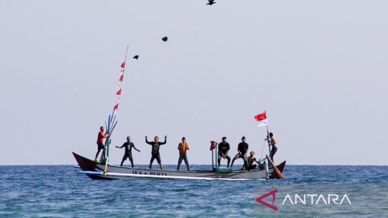 Lomba Ayam Sap-Sap Situbondo: Tradisi Unik Ayam Terbang dari Tengah Laut yang Dilestarikan Pemkab