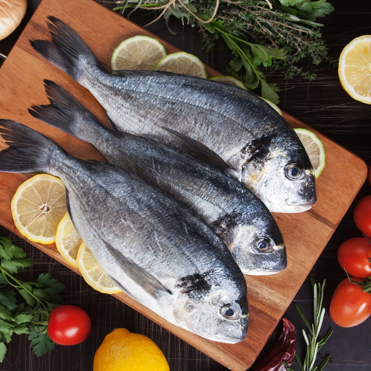 6600 Koleksi Jenis Ikan Air Tawar Dan Penjelasannya Gratis Terbaru