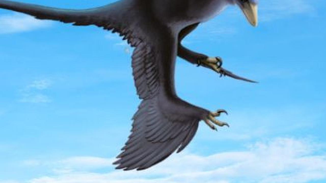 4. Taktis Berburu yang Tak Dimiliki Dinosaurus Darat<br>