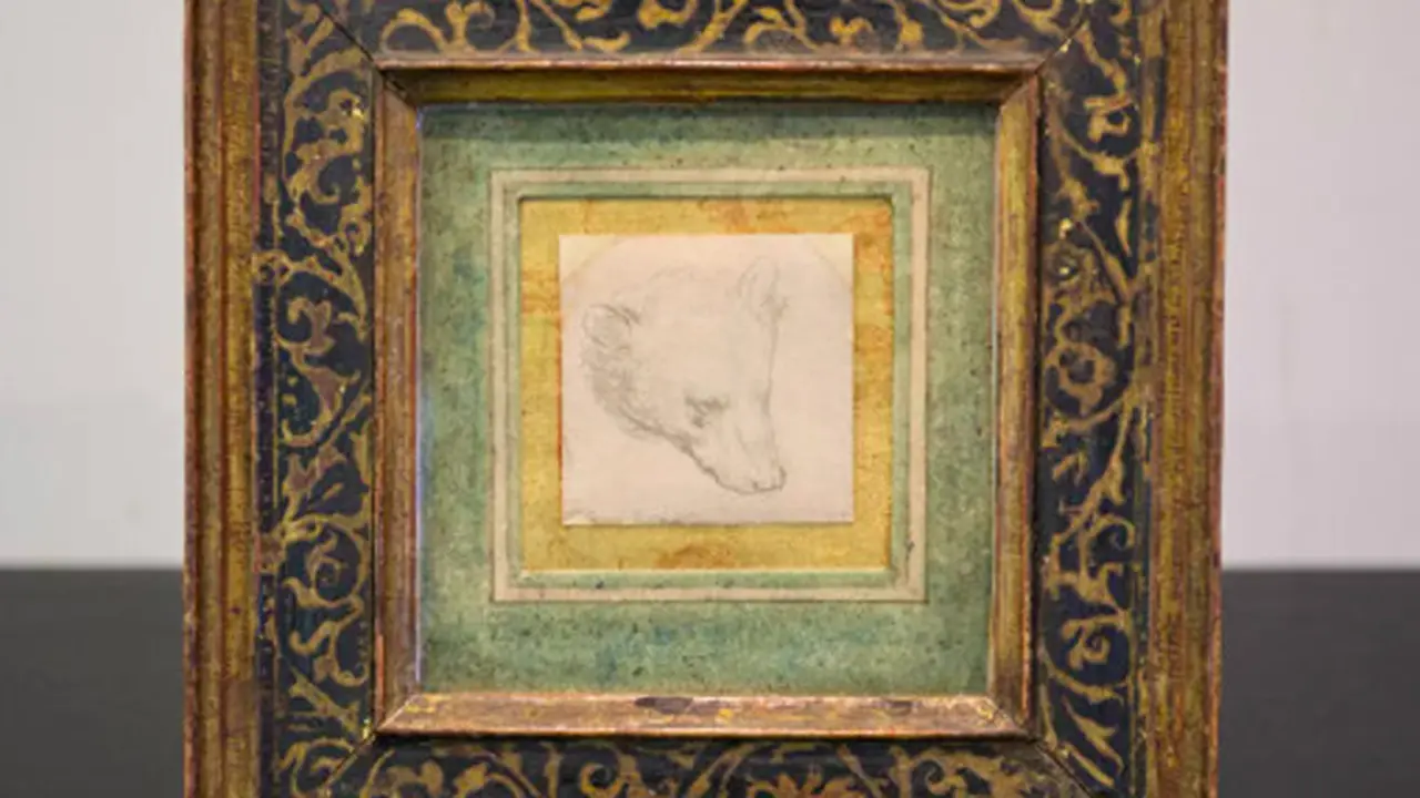 "Head of a Bear"