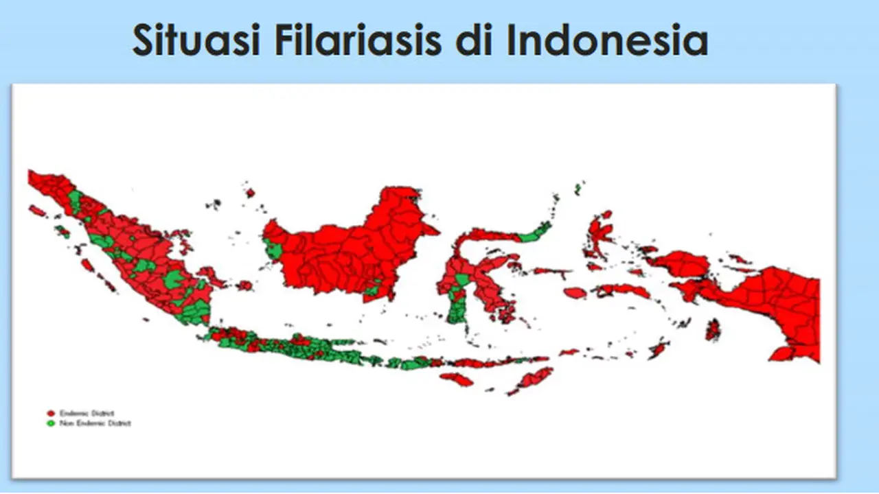 Daerah berwarna merah menunjukkan wilayah yang rentan terkena penyakit filariasis atau kaki gajah (sumber: presentasi  Direktur Pencegahan dan Pengendalian Penyakit Tular Vektor dan Zoonotik Kementerian Kesehatan RI)
