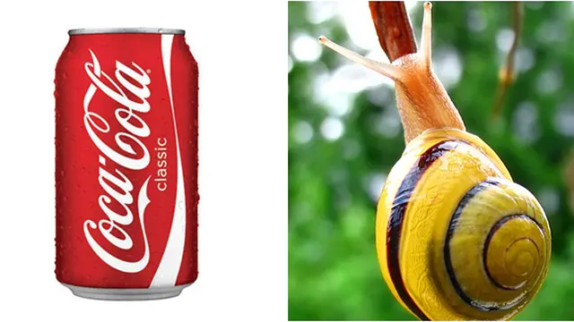 (c)imagemme.com_wikipedia.org