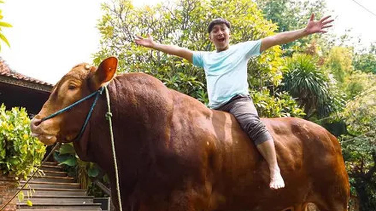 Jelang Idul Adha 2025, Irfan Hakim dan Ayu Ting Ting Siapkan Qurban Sapi Jumbo Lagi?