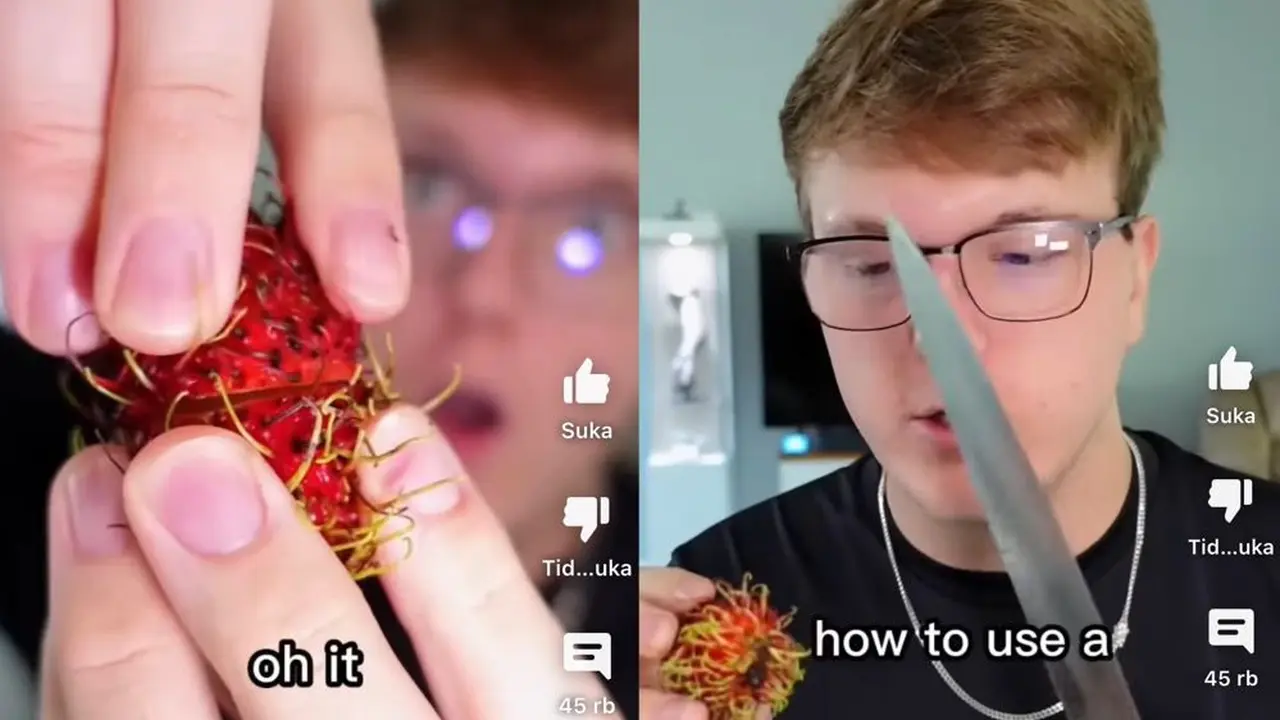Bule gunakan pisau untuk membuka buah rambutan