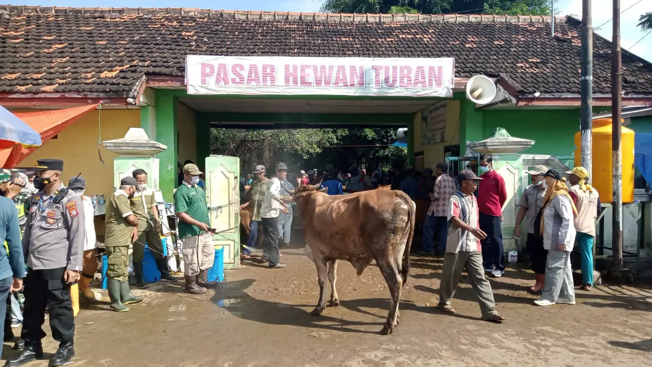 Pasar hewan Tuban. (Ahmad Adirin/Liputan6.com)