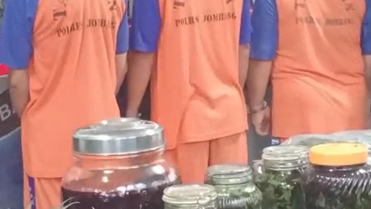 Kasus Kebun Ganja di Jombang