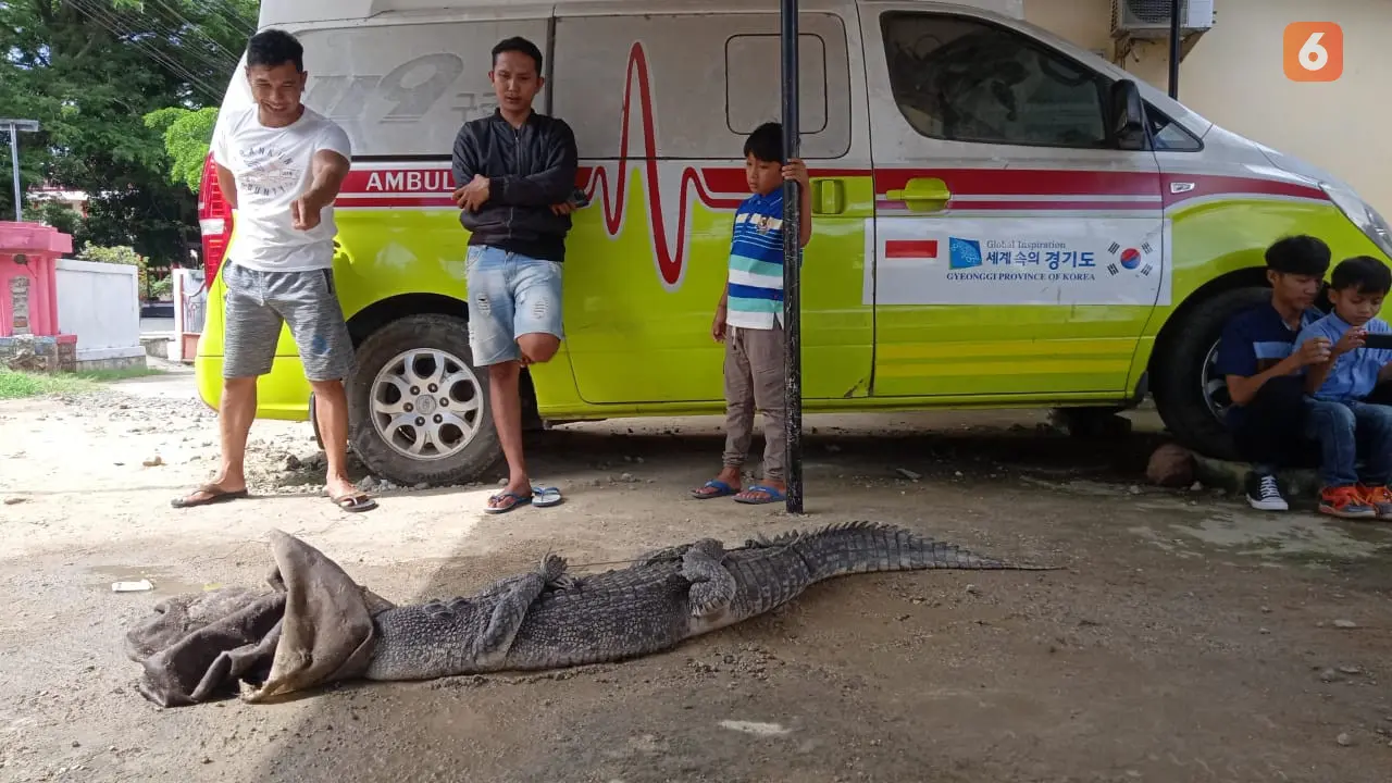 Buaya Besar