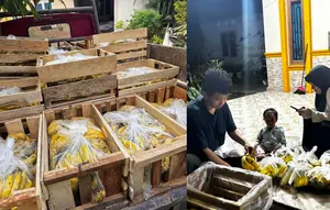 Kronologi Orderan Pisang Jutaan Rupiah untuk MBG Mendadak Dibatalkan