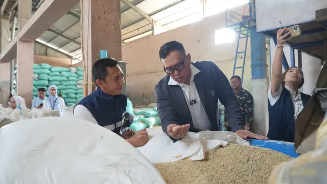 Direktur Utama Perum Bulog Ahmad Rizal Ramdhani meninjau penggilingan padi di Kabupaten Sumedang, Jawa Barat. (Dok Bulog)