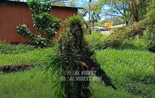 Sniper TNI Ini Mengecoh Rekan Sendiri dalam Latihan: Kami Tidak Terlihat, Tapi Mematikan