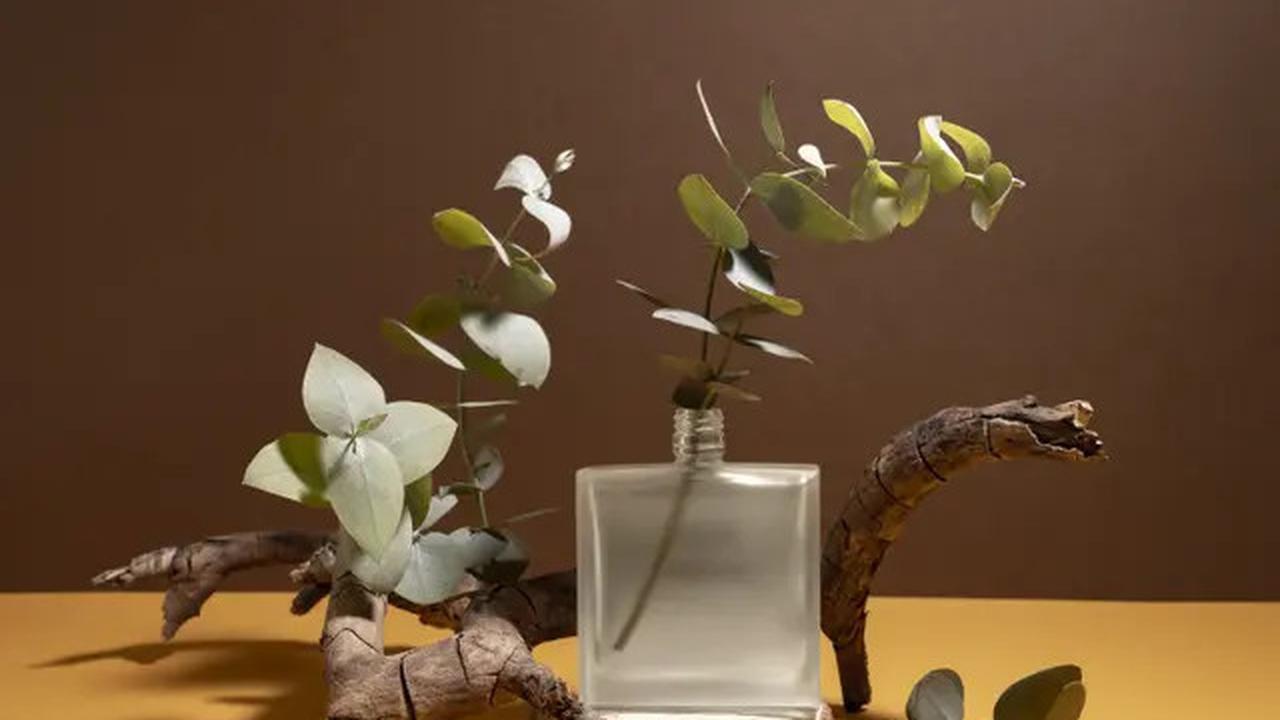 Hindari Sekarang, Aroma Lotion Ini Justru Bikin Kamu Digigit Nyamuk