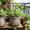 8 Ide Magic Com Rusak untuk Pot Sayur, Cara Kreatif Memanfaatkan Barang Tak Terpakai
