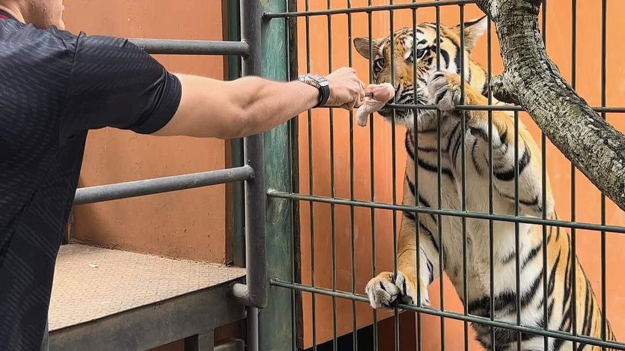 Potret Keseruan Aisar Khaled di Rumah Alshad Ahmad, Berasa Satu Hari di Kebun Binatang