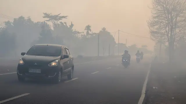 Kalimatan Tercekik Asap Kebakaran Hutan