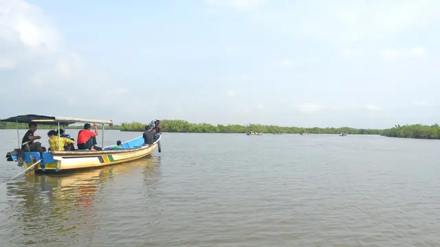 Laguna Segara Anakan, Cilacap, Jawa Tengah  (Foto: Liputan6.com/Muhamad Ridlo)