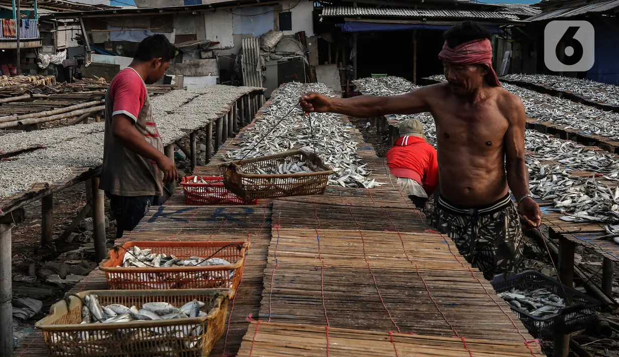 Pekerja menjemur ikan asin di kawasan Kampung Nelayan Muara Angke, Jakarta, Kamis (3/6/2021). Realisasi anggaran pemulihan ekonomi nasional (PEN) hingga 21 Mei 2021 mencapai Rp 183,98 triliun atau 26,3 persen dari total pagu anggaran sebesar Rp 699,43 triliun. (Liputan6.com/Johan Tallo)