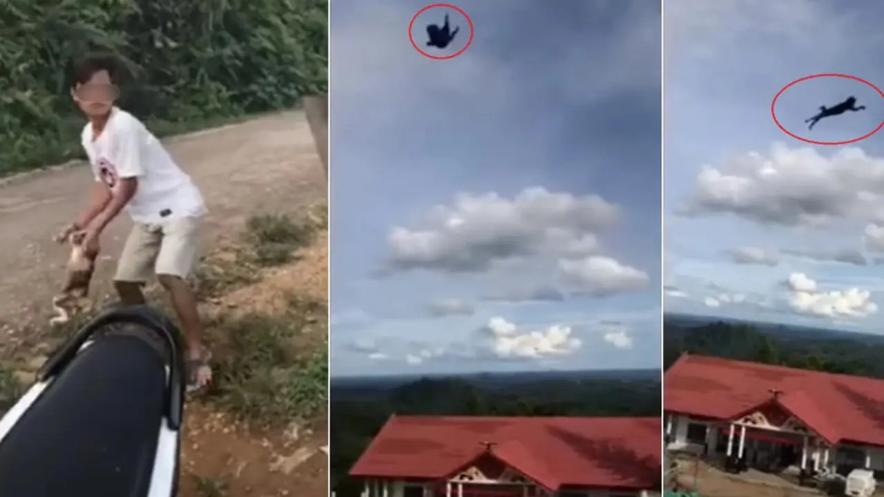 Demi Konten, Viral Pemuda Tega Lempar Kucing dari Puncak Bukit