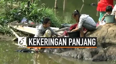 Kekeringan yang melanda wilayah Purwakarta membuat warga terpaksa gunaka air kubangan untuk mandi dan mencuci. Sementara untuk masak dan minum, mereka terpaksa harus membeli air.