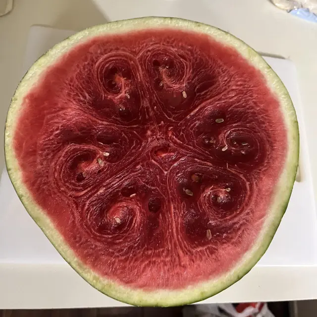 6 Penampakan Buah Usai Dipotong Ini Bikin Heran, Bentuknya Unik