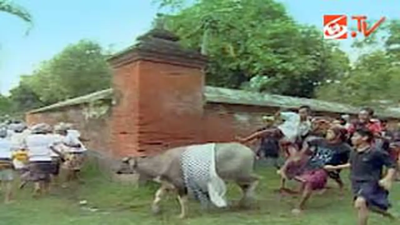 120105potret.jpg